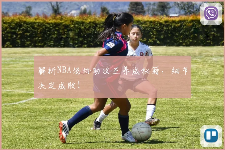 解析NBA场均助攻王养成秘籍，细节决定成败！