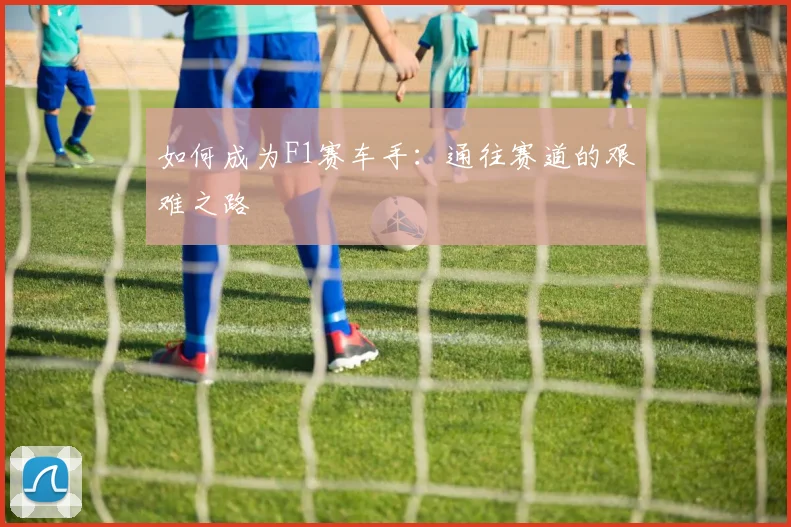 如何成为F1赛车手:通往赛道的艰难之路