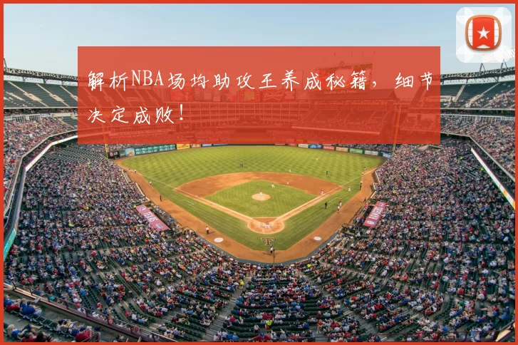 解析NBA场均助攻王养成秘籍,细节决定成败!