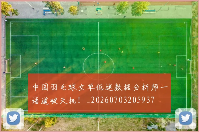 中国羽毛球女单低迷数据分析师一语道破天机！_20260703205937